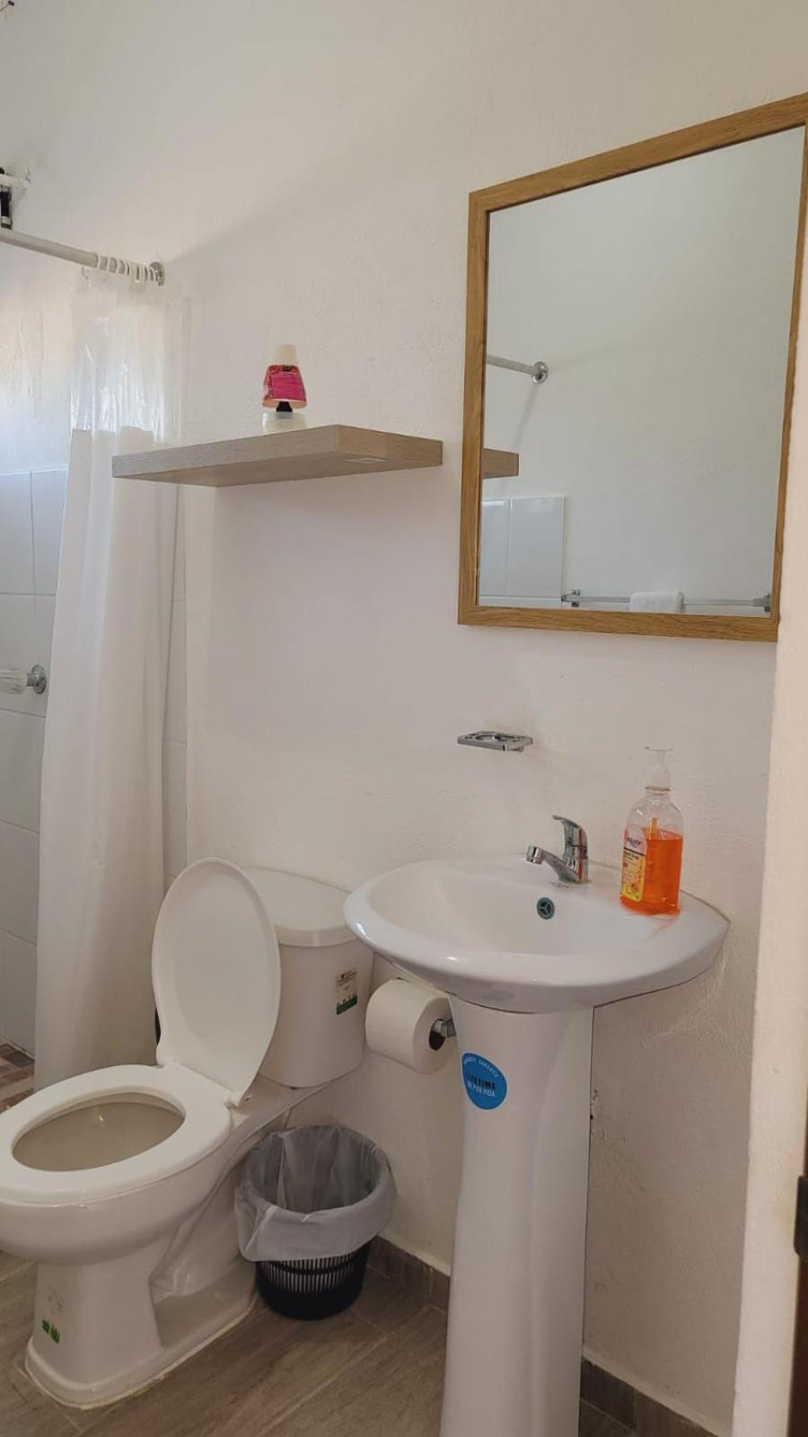 Apartamentos Mundo Maya Habitaciones Flores Dış mekan fotoğraf